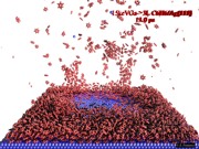 Sputtering of thin benzene overlayer physisorbed at Ag{111} surface by 15 keV Ga